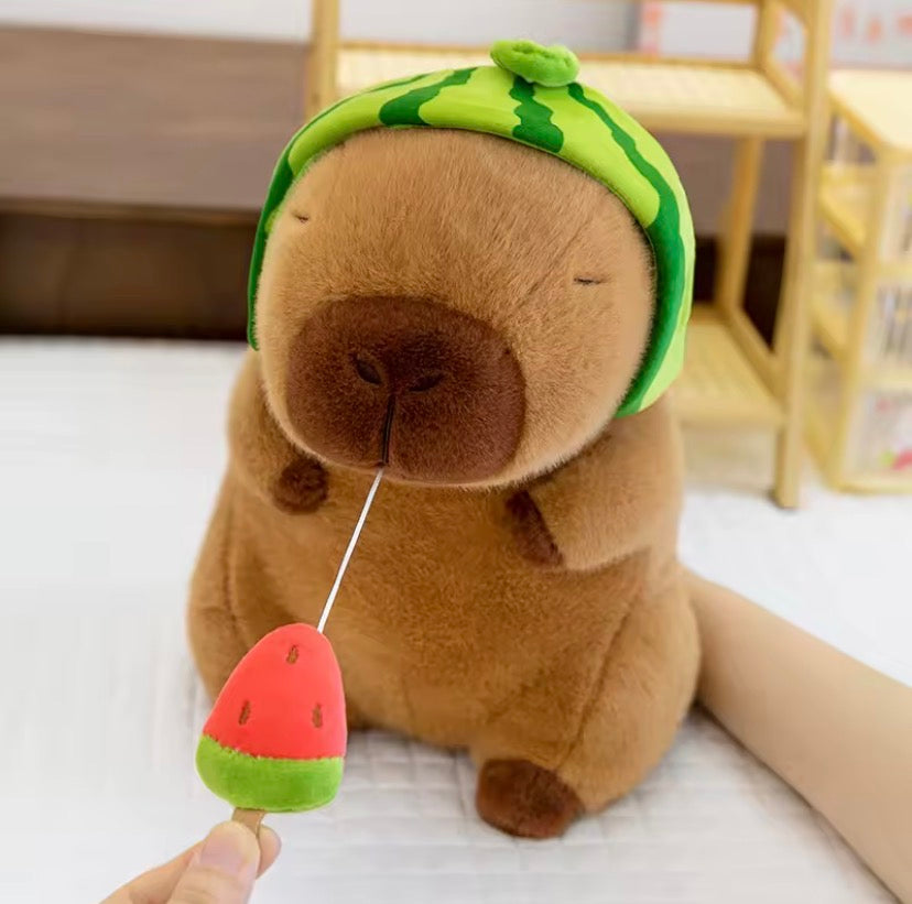 WishBerry Capybara Caps Plushies